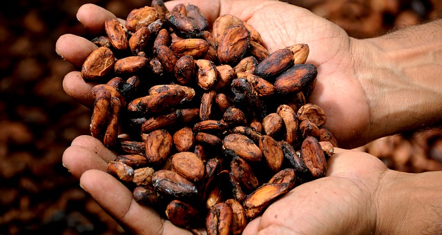 cubrir el riesgo de volatilidad en cacao